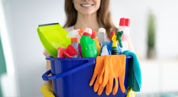 produtos de limpeza profissioanal - produtos de limpeza - limpeza profissioanal